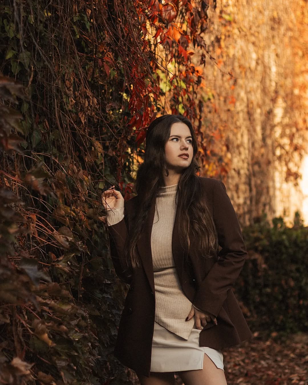 Golden autumn leaves framing the Alhambra