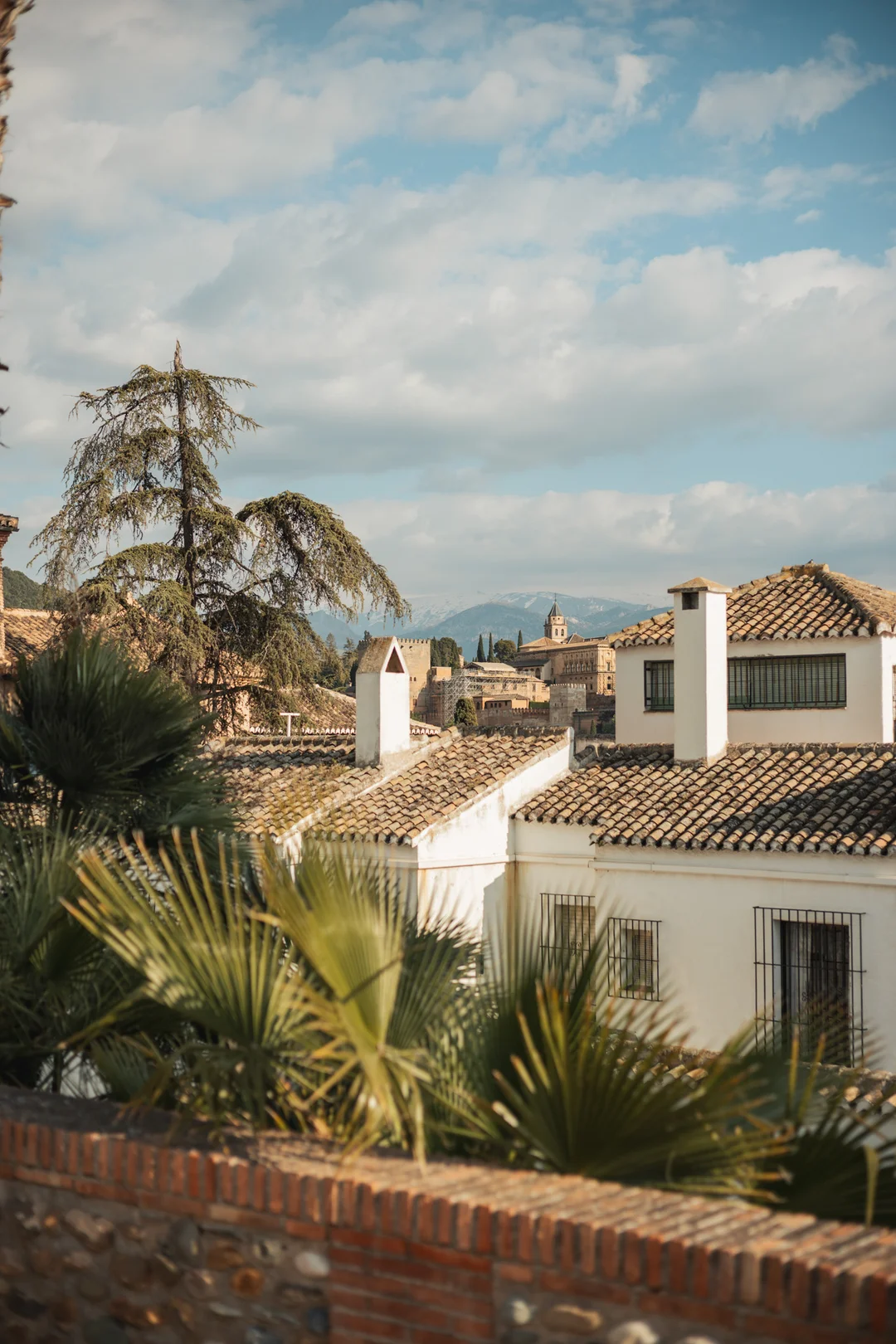 A breathtaking rooftop view from the Albaicín — white-walled Granada houses with terracotta rooftops spread below, palm trees swaying in the breeze, and the iconic Alhambra fortress crowning the hillside beyond. A breathtaking rooftop view from the Albaicín — white-walled Granada houses with terracotta rooftops spread below, palm trees swaying in the breeze, and the iconic Alhambra fortress crowning the hillside beyond.