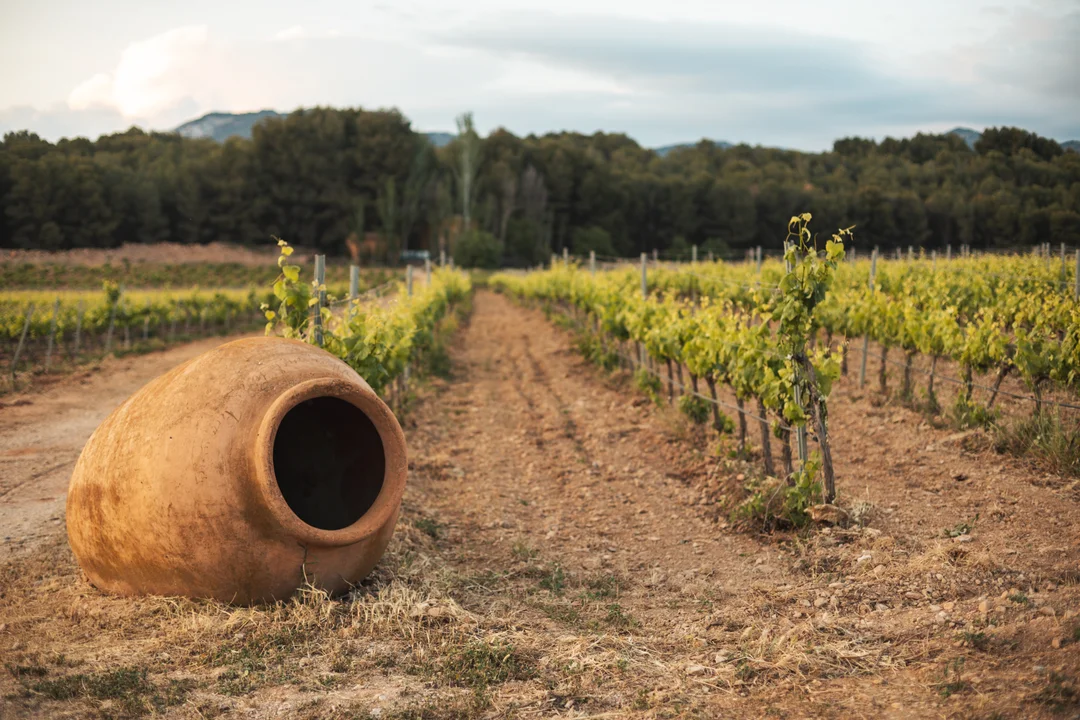 A rustic terracotta amphora rests in a sun-drenched Andalusian vineyard during the golden hour, showcasing the charming cottagecore vibe of the Costa del Sol countryside. A rustic terracotta amphora rests in a sun-drenched Andalusian vineyard during the golden hour, showcasing the charming cottagecore vibe of the Costa del Sol countryside.