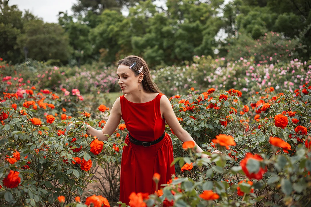 An elegant individual portrait of a woman in a red dress wandering through a vibrant spring bloom of orange roses in a lush garden in Granada. An elegant individual portrait of a woman in a red dress wandering through a vibrant spring bloom of orange roses in a lush garden in Granada.